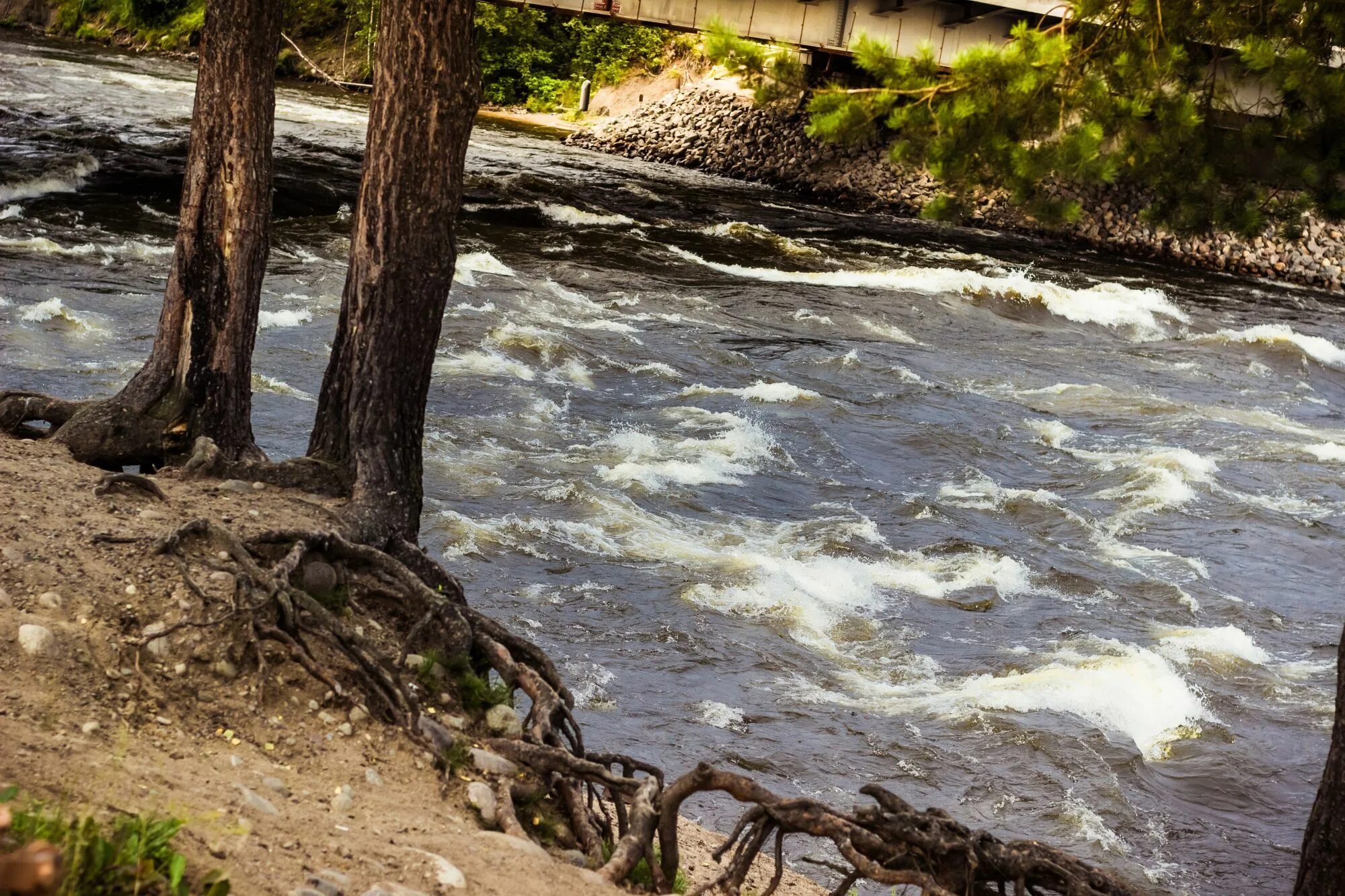 Порог на реке это. Река Шалица. Водяные пороги. Речные пороги. Пороги на реке.