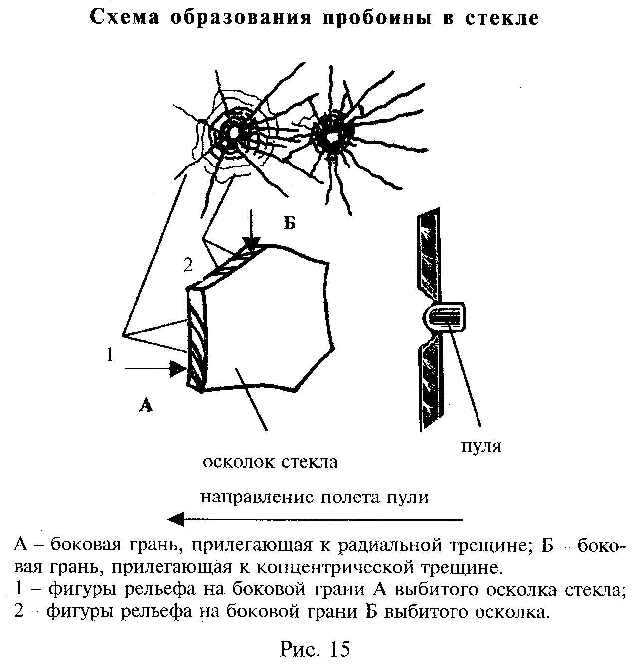 Направление трещины. Следы выстрела криминалистика. Определение направления движения пули в листовом стекле. Определите направление выстрела по следу действия пули. Схема основные следы выстрела на преграде.