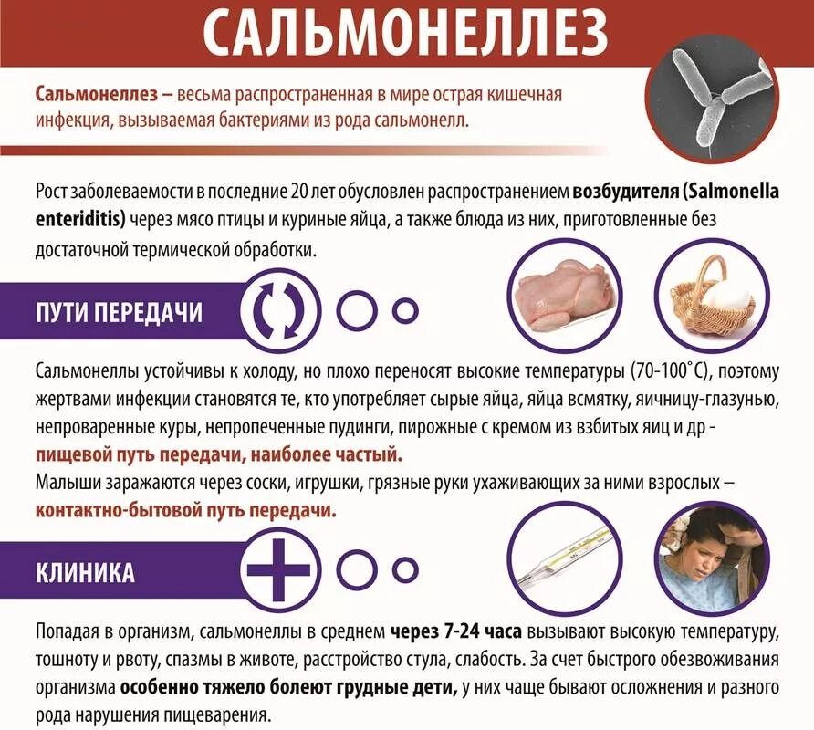 Очаг поражения сальмонеллеза. Сальмонеллез профилактика заболевания. Сальмонеллез причины симптомы профилактика. Сальмонелла профилактика. Можно ли отравиться вареным