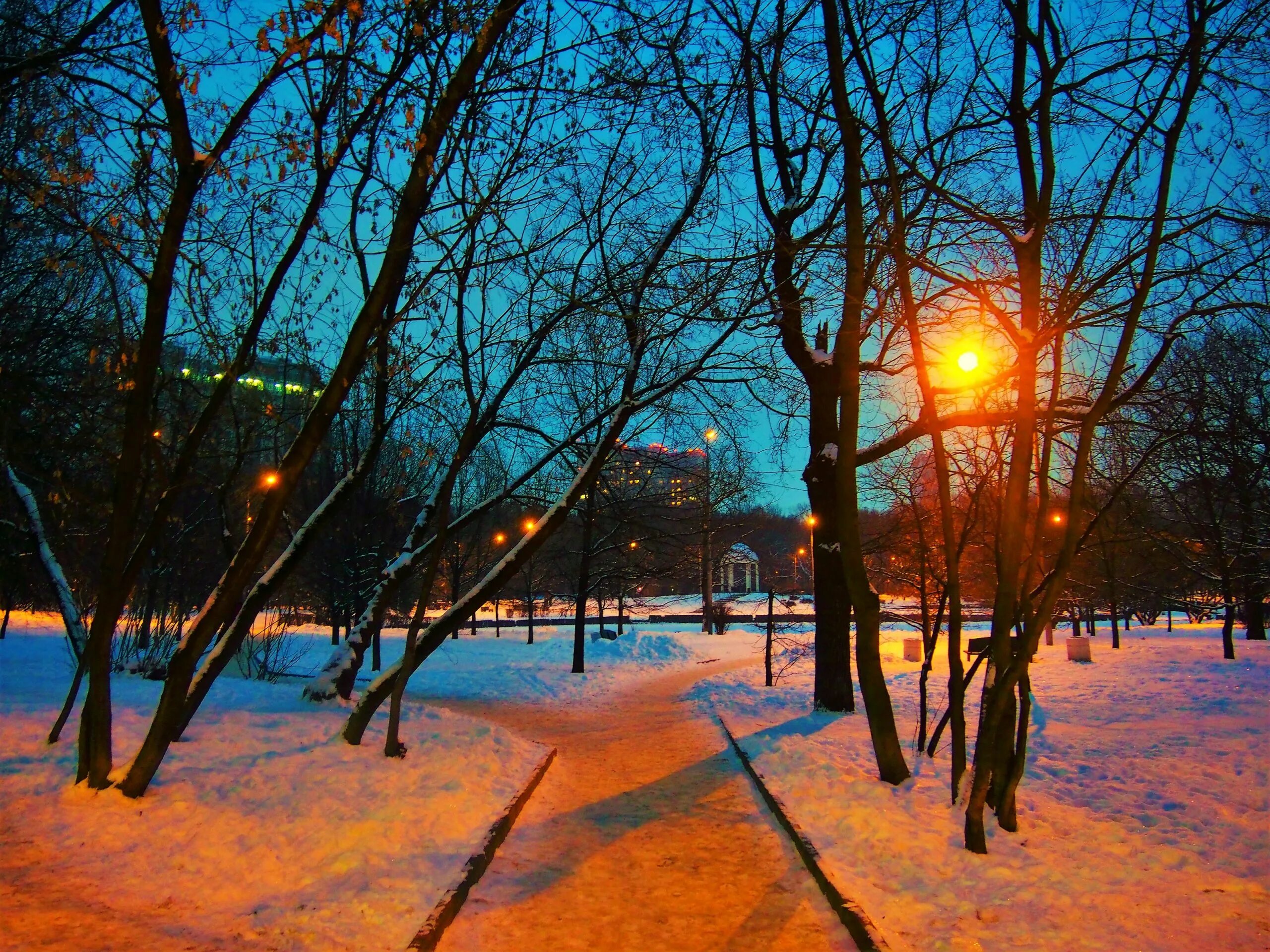 Зимний вечер в городе. Москва зимой. Москва зима солнце. Зимний вечер в Москве. Москва теплая зима