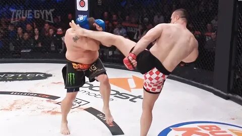 Бои мирко видео
