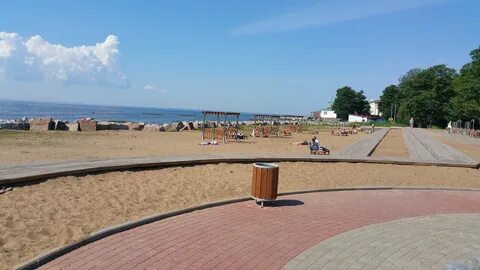 Лисий нос морской