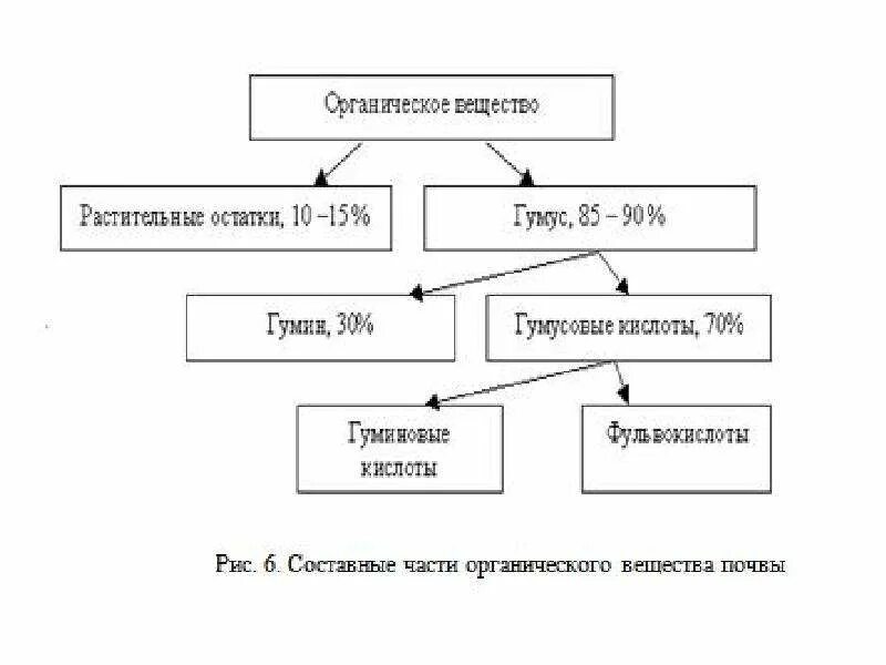 Назовите органические вещества почвы. Схема состава органического вещества почвы. Схема органического вещества почв по подвижности. Составные части органического вещества почвы. Органическое вещество почвы.