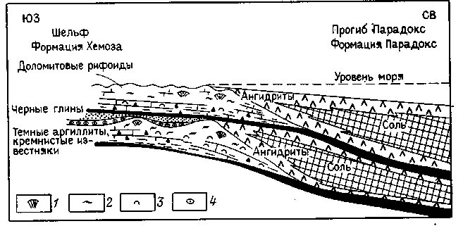 западно камчатский шельф. западный шельф. западный шельф. месторождения арктического шельфа россии. нефтяные месторождения крыма карта.