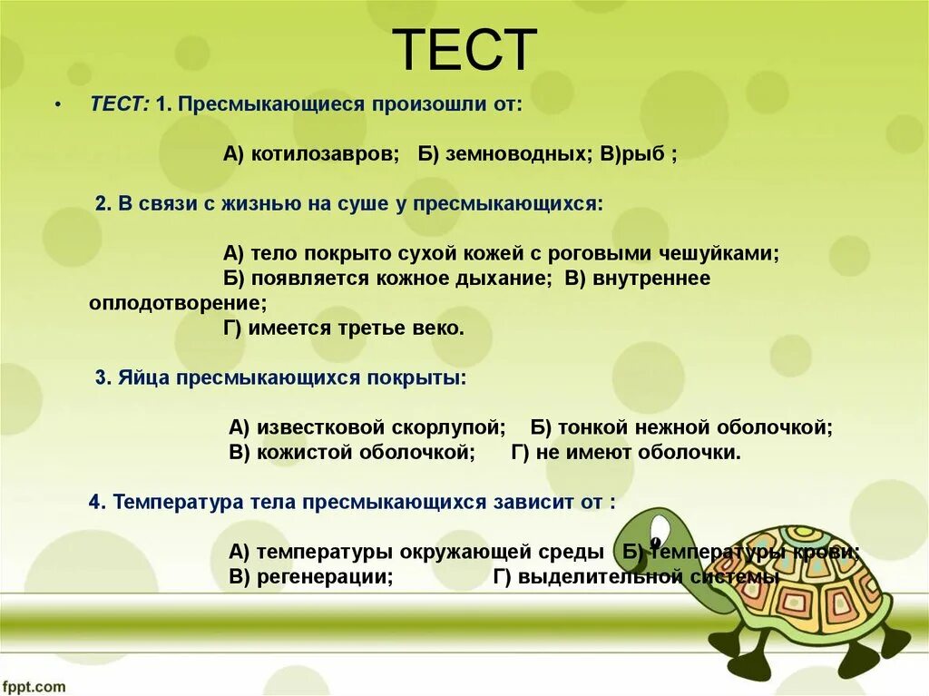 Тест по теме рептилии. Вопросы про рептилий. Зачет по биологии на тему пресмыкающиеся. Тестирование по теме пресмыкающиеся. Контрольная работа земноводные.