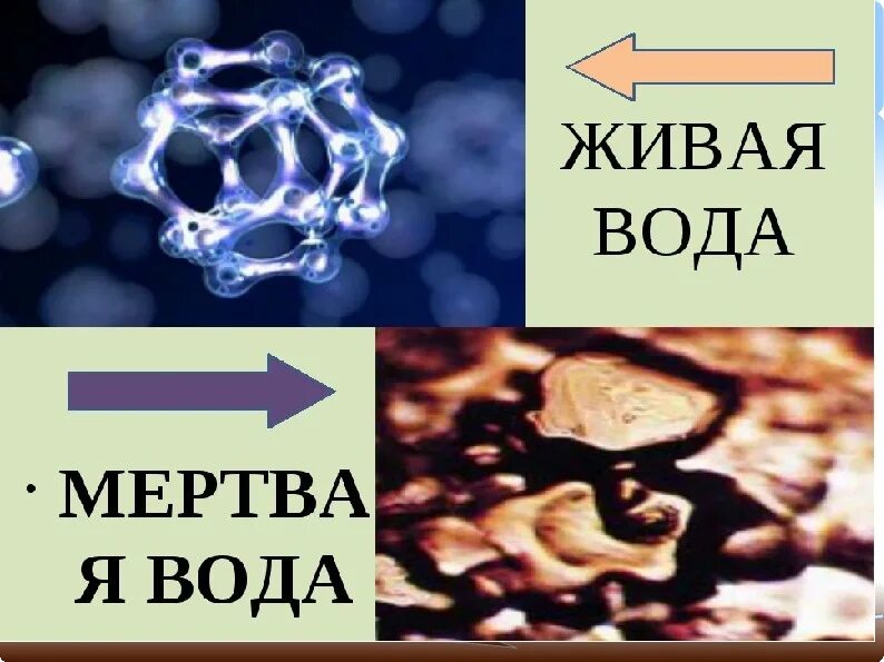 Мертвая вода где находится. Структура живой и мертвой воды. Мертвая вода. Живая вода и мертвая вода. Живая и мертвая вода презентация.