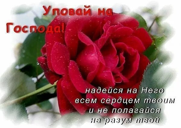 Все уповающие на него