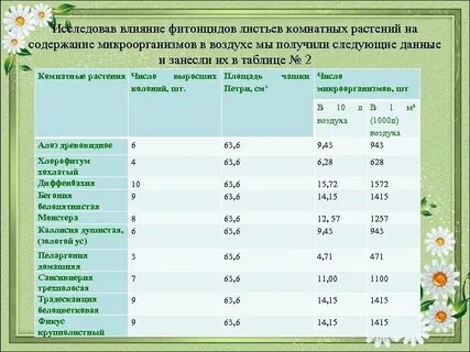 Овощи содержащие повышенное количество фитонцидов
