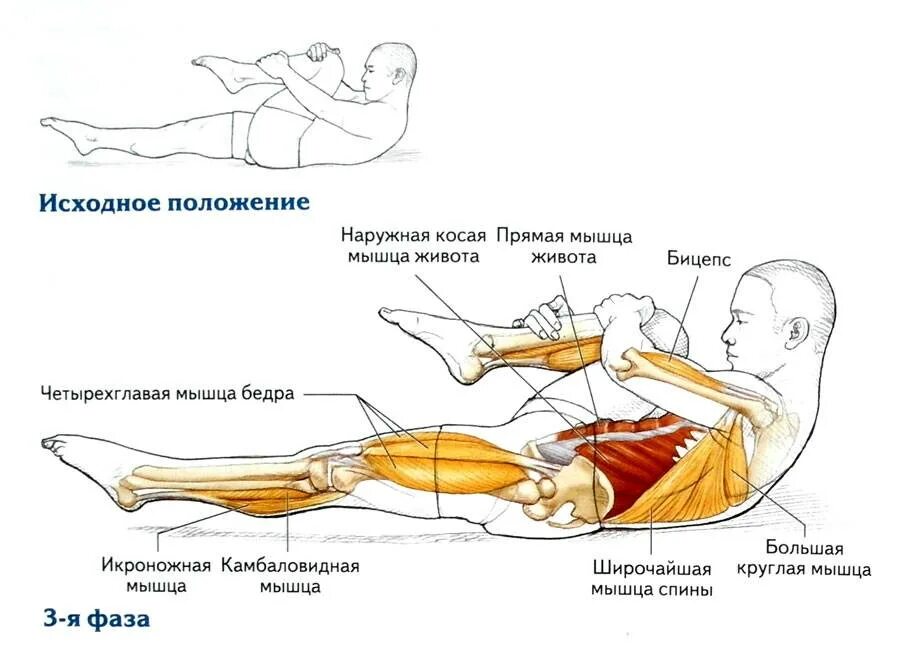 Потянул поясницу что делать. Растяжка мышц. Растяжка мышц ног. Растяжка мышц поясницы. Упражнения для растяжки мышц спины и ног.