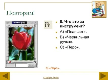 Содержание пере