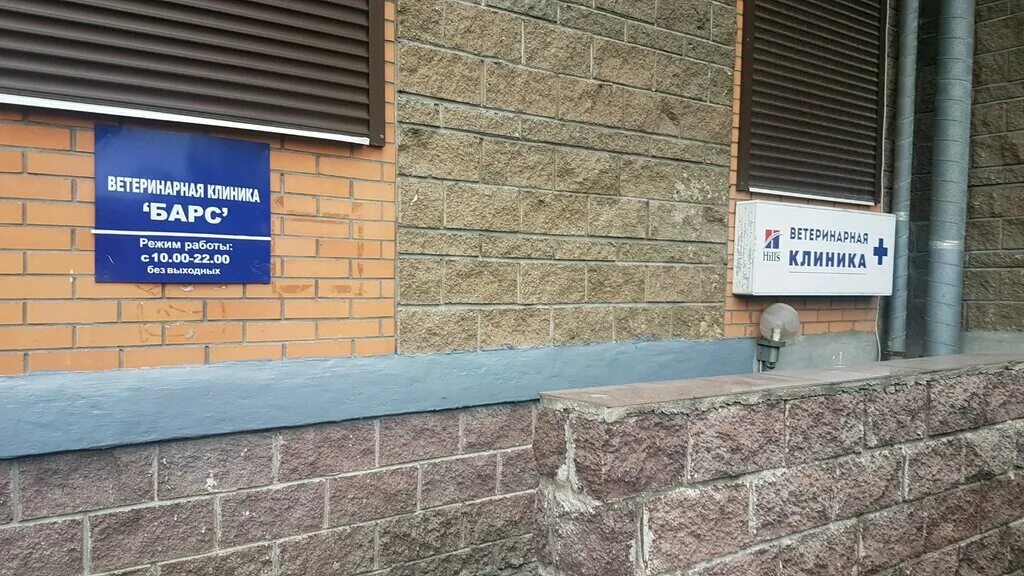 ветклиника барс на варшавской. барс ветлечебница. ветеринарная клиника самара. барс ветлечебница. барс астрахань ветеринарка.