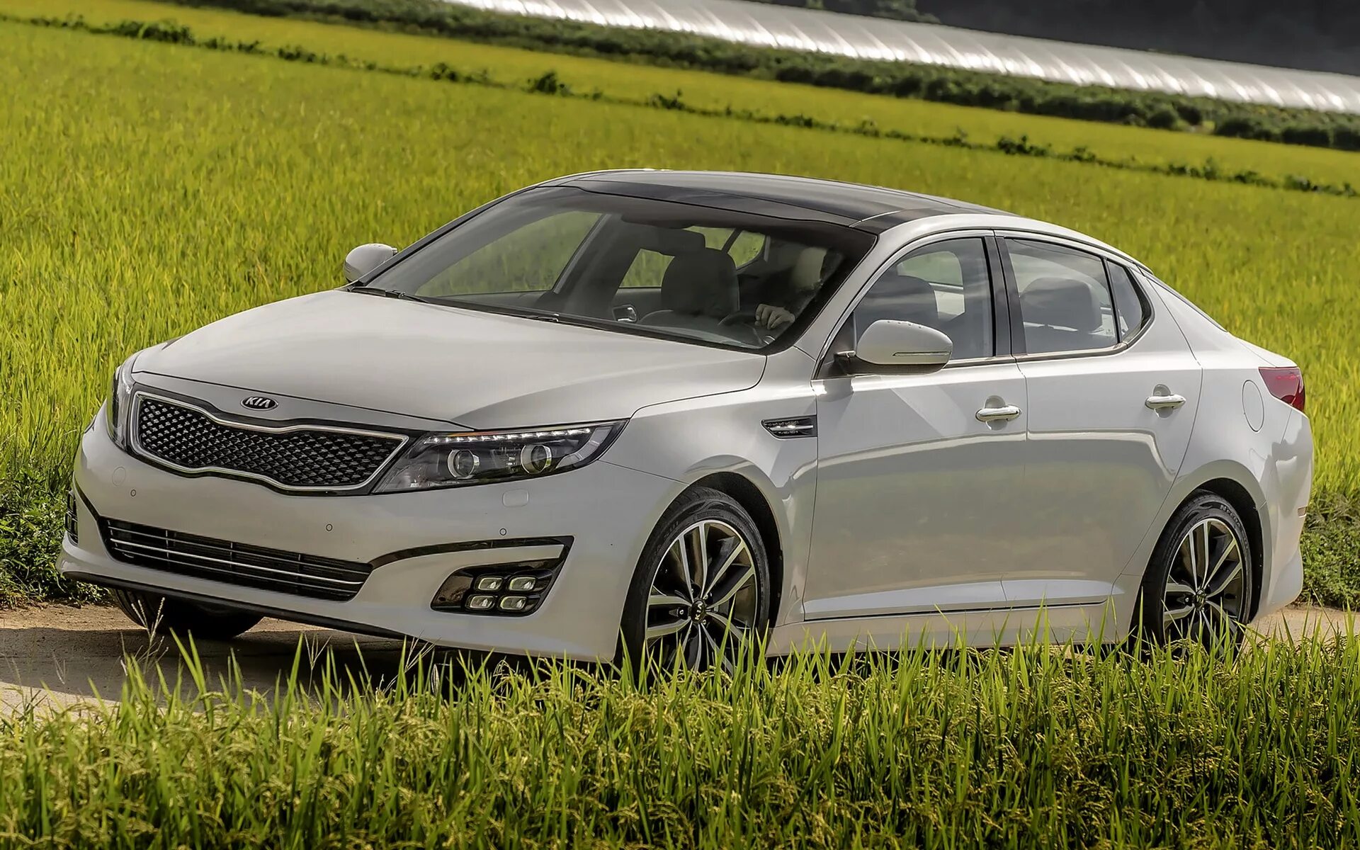 Киа Оптима 2022. Kia Optima 2013. Kia Optima TF 2013. Kia Optima 2023. Киа к5 2022 комплектации и цены