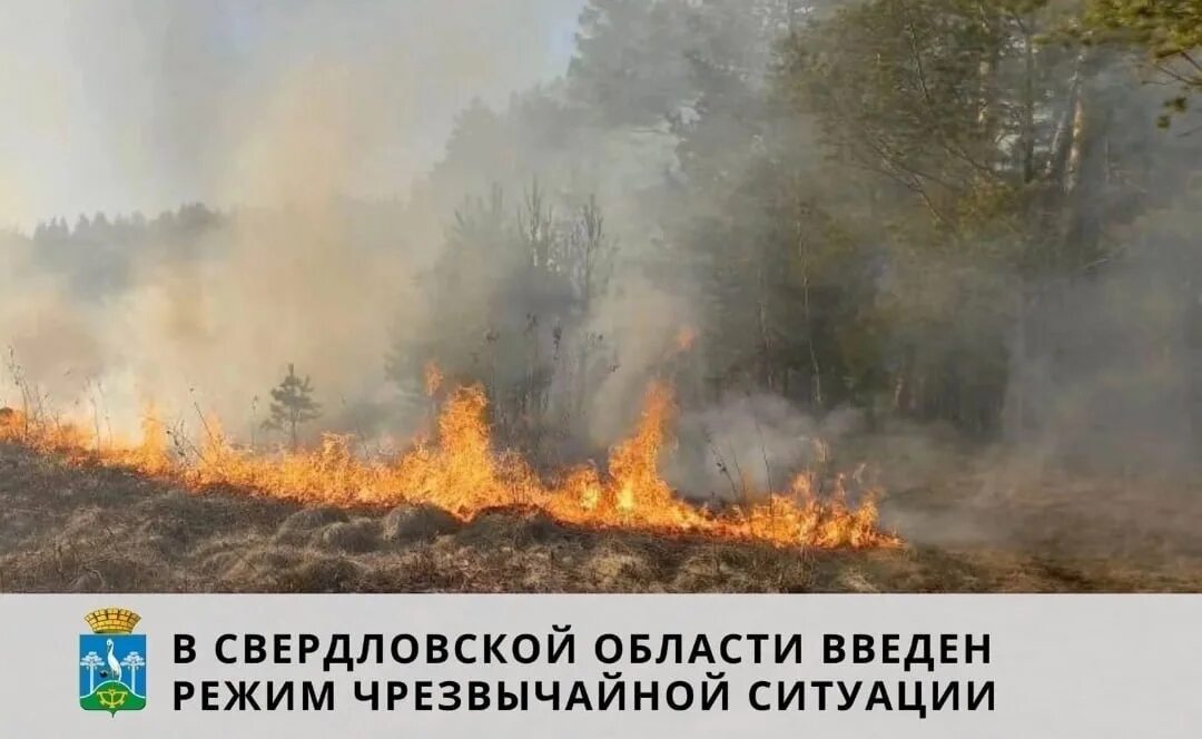 Пожароопасная обстановка. Режим чс в лесах. Красноярск новости сегодня свежие происшествия. Режим чс сентябрь 2024. Пожароопасная обстановка.