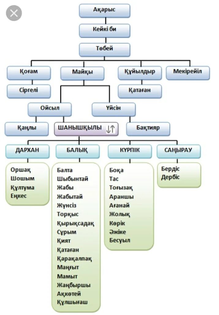 Казахский род. Казахское дерево родов. Шежире казахов. Казахский род Адай. Кіші жүз ханы