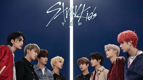 Stray kids как переводится