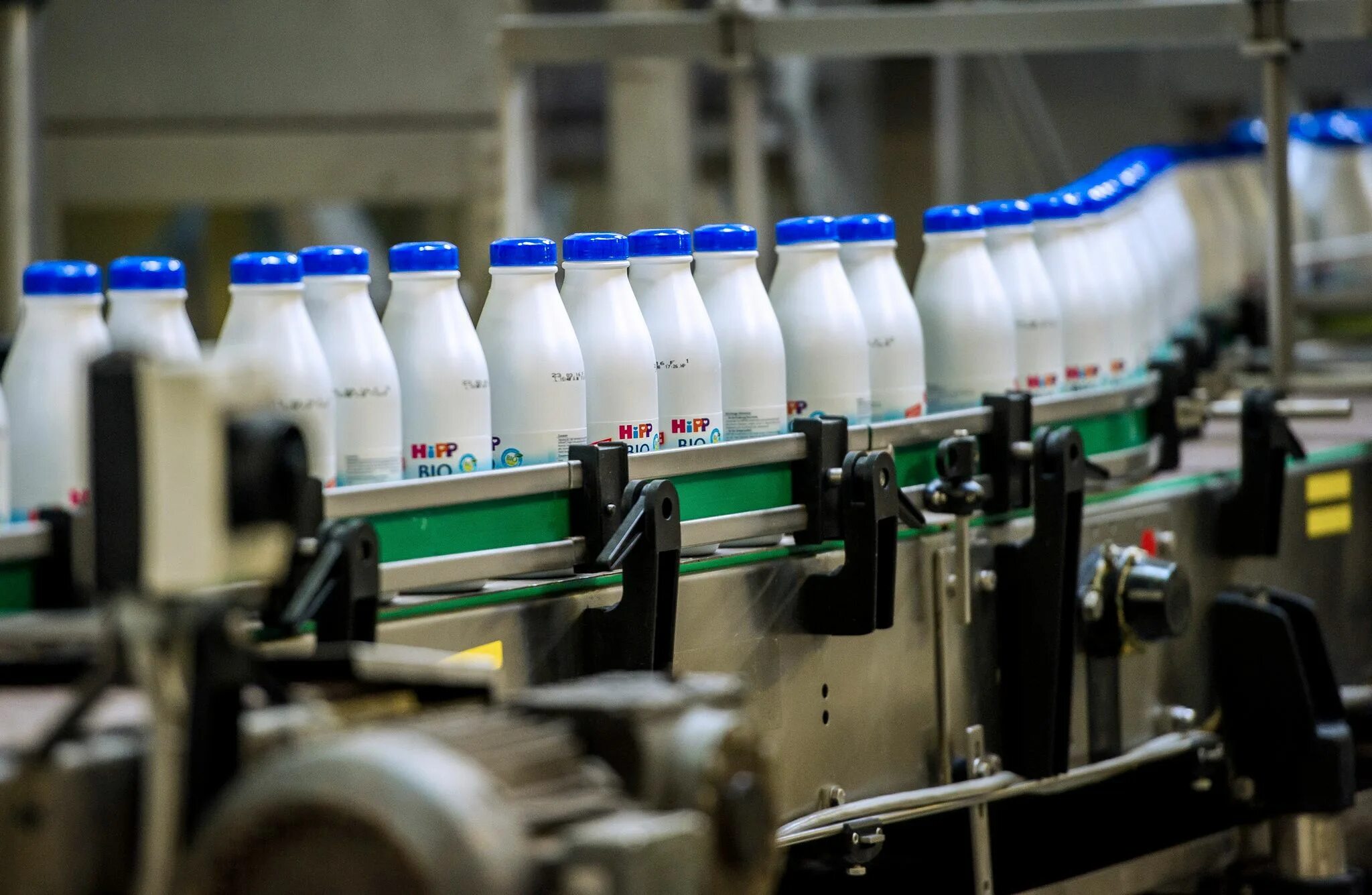 Разлив молока в бутылки. Молоко на конвейере. Молочный завод конвейер. Синтетическое молоко. Поставка молочной продукции.