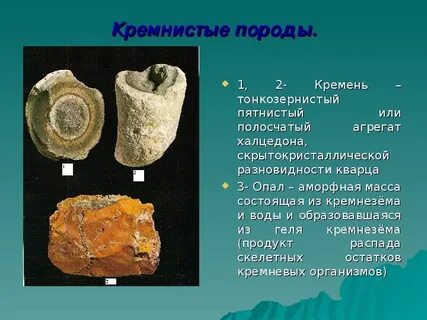 Кремнистая осадочная горная порода богатая кремнеземом