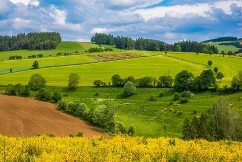 Простор запчасти