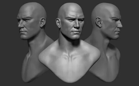 Sculpt and define