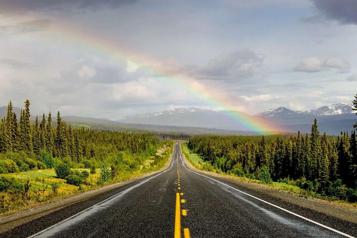 Найти дорогу во сне. Alaska Highway. Аляска Хайвей фото. Стереотипный Хайвей. What is Highway.