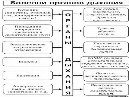 Классификация средств влияющих на органы дыхания