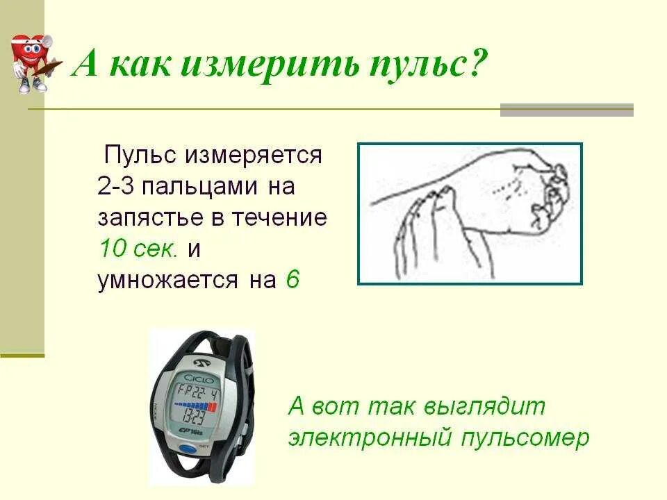 Давление по пульсу на руке. Пульс норма как измерить. Как измерить пульс за 10 секунд. Как правильно измерить ЧСС. Как измерять пульс на руке по времени.