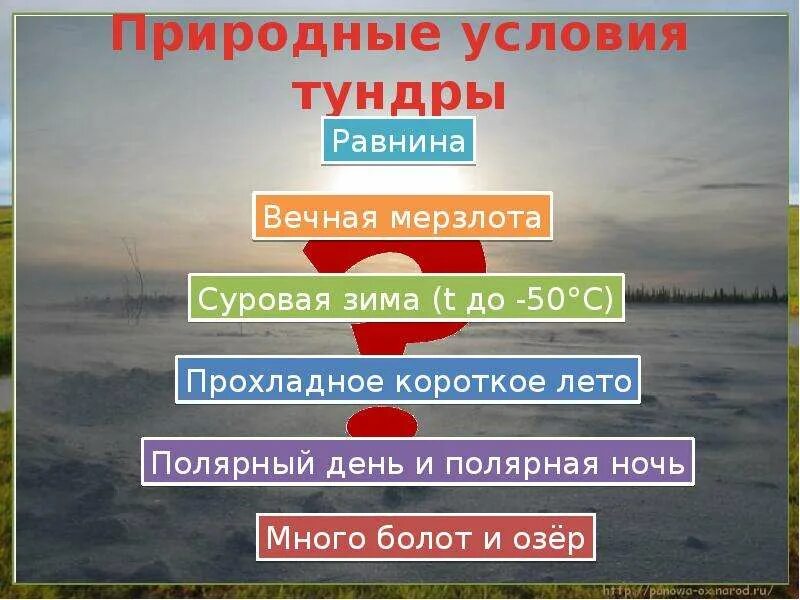 Зона тундры задания. Природные условия. природные условия схема. тундра 4 класс окружающий мир. взаимосвязь в природной зоне тундры.
