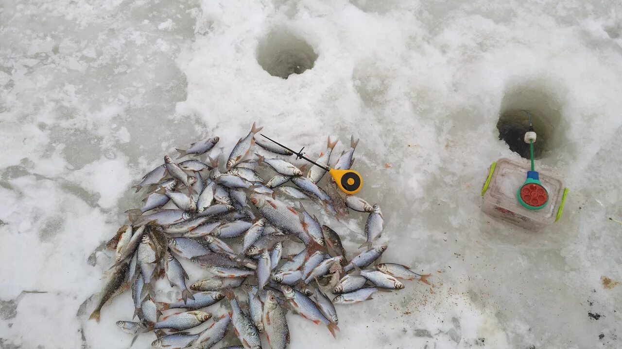 Ловля окуня зимой на мормышку. Плотвиные мормышки зимние. Мормышки для ловли плотвы зимой. Мормышки на плотву для зимней рыбалки. Окуневая мормышка зимняя.