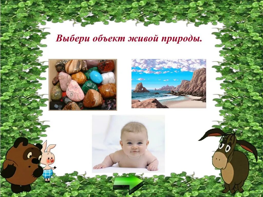 Борьба с неживой природой. Объекты живой природы. Выбери объекты живой природы. Живая и неживая природа 1 класс. Живая и неживая природа картинки.