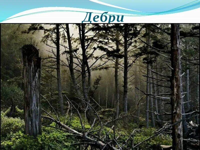 Опять сон автор. Стихотворение брюсова опять сон.