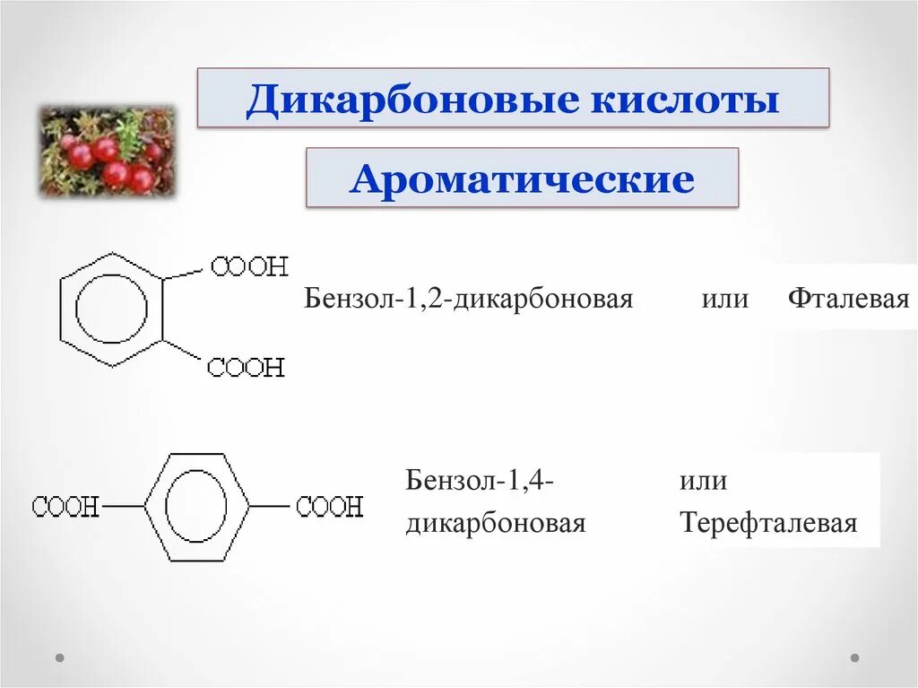 Бензол является основным компонентом природного газа. Фталевой и терефталевой кислоты. Бензол терефталевая кислота. Терефталевая кислота из бензола. 2 5 Дигидроксибензойная кислота.