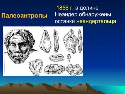 Палеоантропы