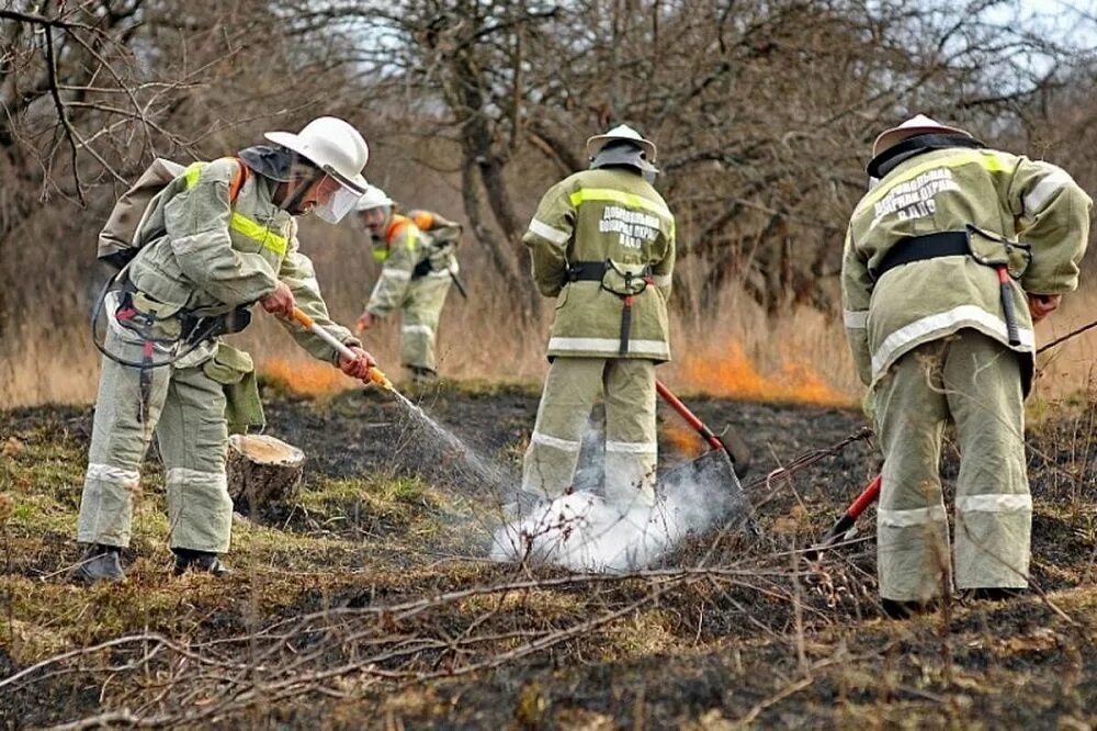 Добровольная пожарная дружина в организации. Добровольная пожарная охрана в россии. добровольная пожарная дружина. добровольный пожарный отряд. добровольные лесные пожарные.