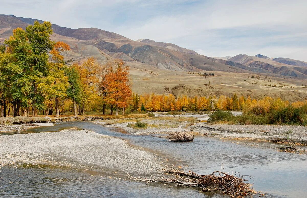 почувствовать запах моря. горный алтай чуя и катунь. на берегу чуя. база урсулы. на берегу чуя.