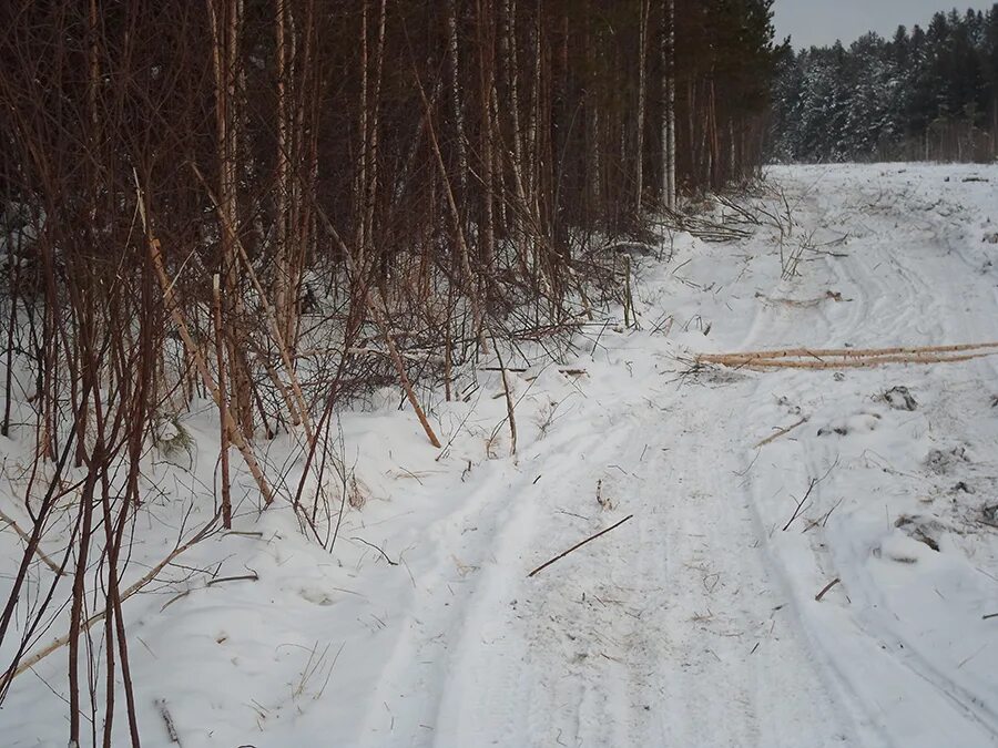 Погода в киевском каргасокского. Село каргасок улица максимого. Погода в киевском каргасокского. Новоюгино томская область. Погода в киевском каргасокского.