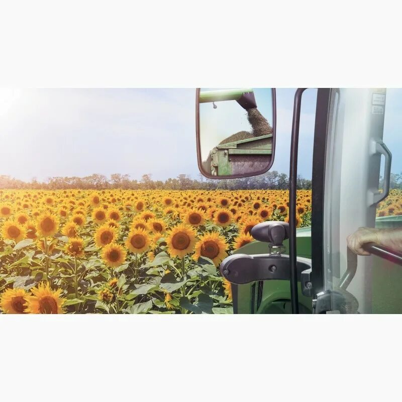 Производство автомобилей в мире по странам 2022. Подсолнечник. Август подсолнухи. Сбор подсолнечника. Тонны подсолнечника.