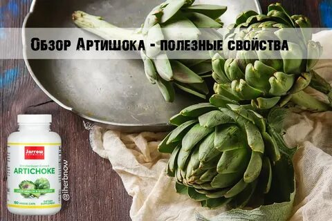 Артишок свойства