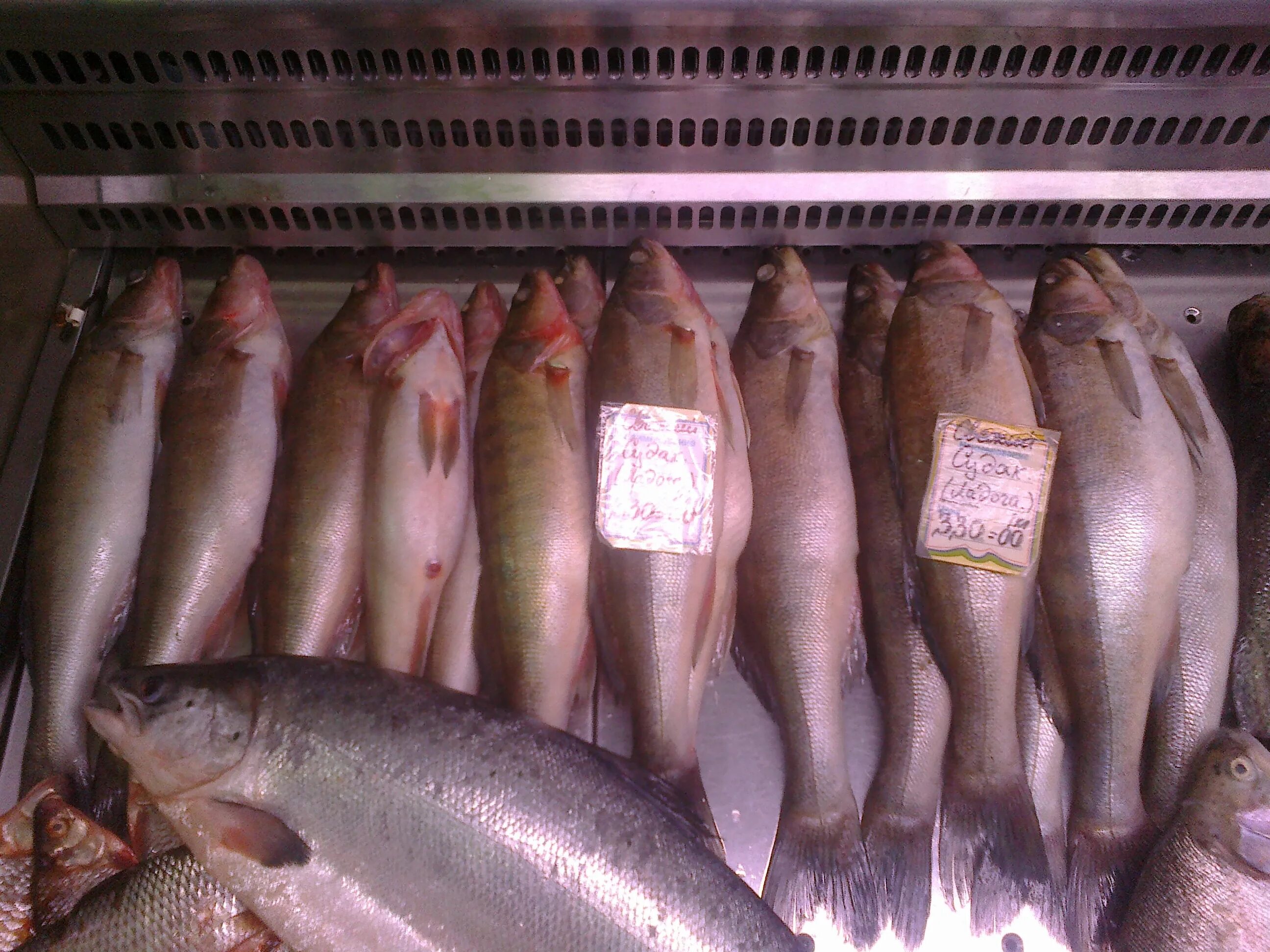 универсам фрунзенский на бухарестской. купчино рыба. купчино рыба. рыбный рынок в купчино. купчино рыба.