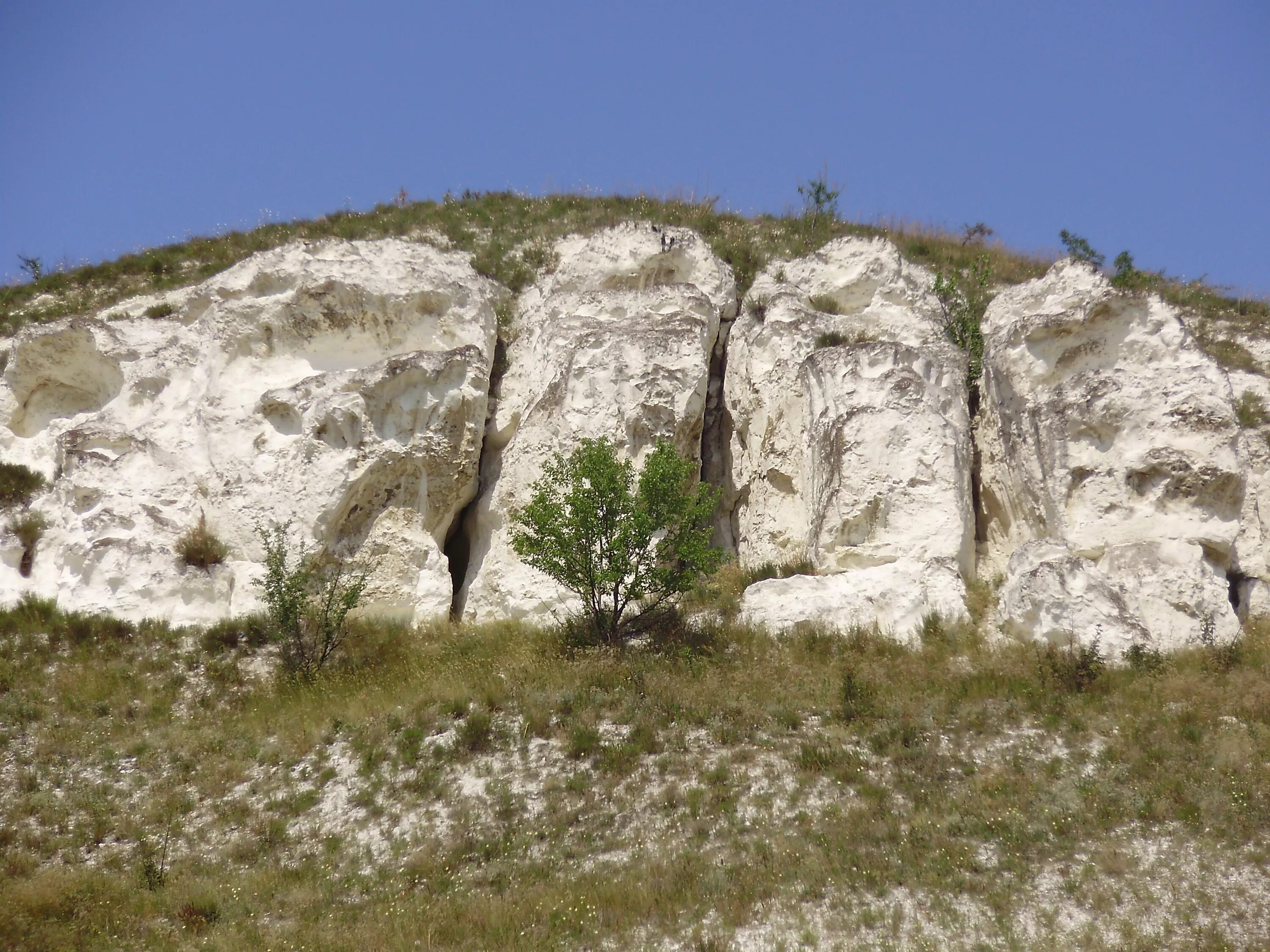 Заповедник бараньи лбы Луганск. Бараньи лбы Новоайдар. Скалы бараньи лбы Луганская область. Заповедник «бараньи лбы».