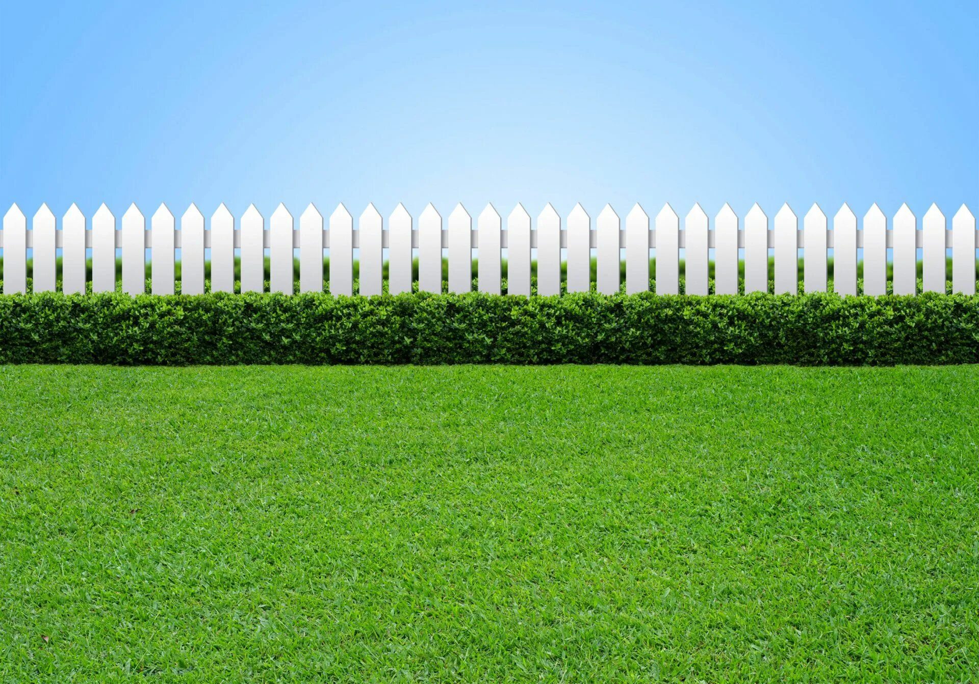 Grass greener on the other side