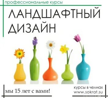 Курсы в челнах