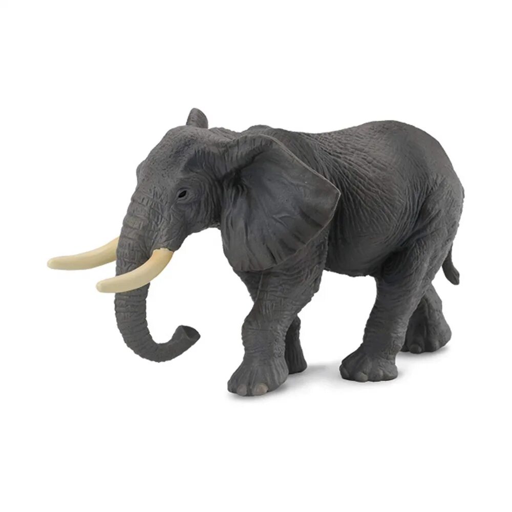 Elephant pet. Фигурка Collecta слон Африканский 88025. Mojo фигурка Африканский слон. Фигурка Collecta азиатский слон 88486. Фигурка Африканский Лев Collecta.