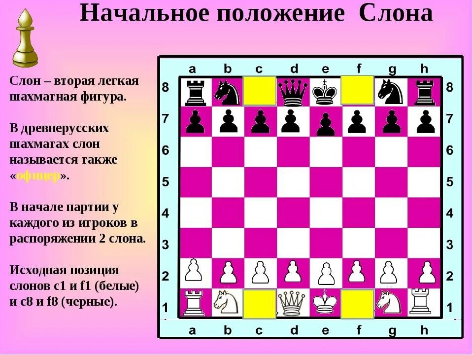 Название шахматных фигур. Название фигур в шахматах. Название фигурок в шахматах. Начальное положение шахматных фигур.