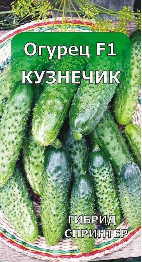 КУЗНЕЧИК F1 - Огурец - ООО ТПО "Белторг" Белгород Beltorg.org
