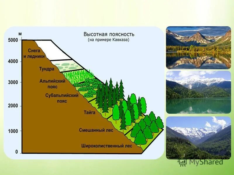 Высотная географическая поясность. Высотная поясность Аппалачи. Высотная поясность гор. Высотная поясность это в географии 7 класс.