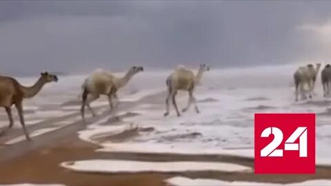Вода в саудовской пустыне