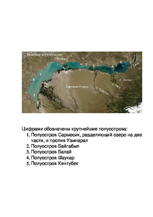 Основными экологическими проблемами озера балхаш. Основными экологическими проблемами озера балхаш