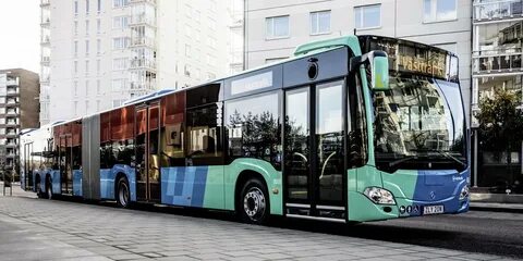 Bus de