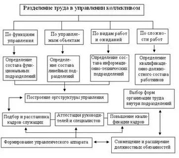 Разделение труда в рыночной экономике