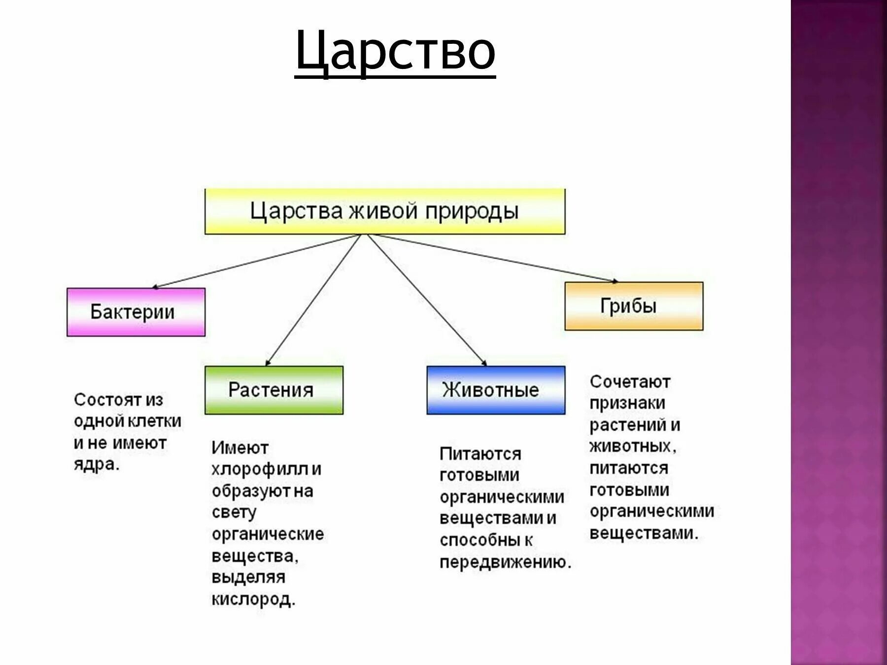 Таблица царства живой природы